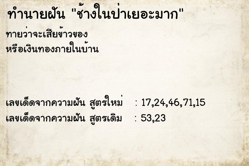 ทำนายฝันช้างในป่าเยอะมาก ทำนายฝันทำนายฝันช้างในป่าเยอะมาก