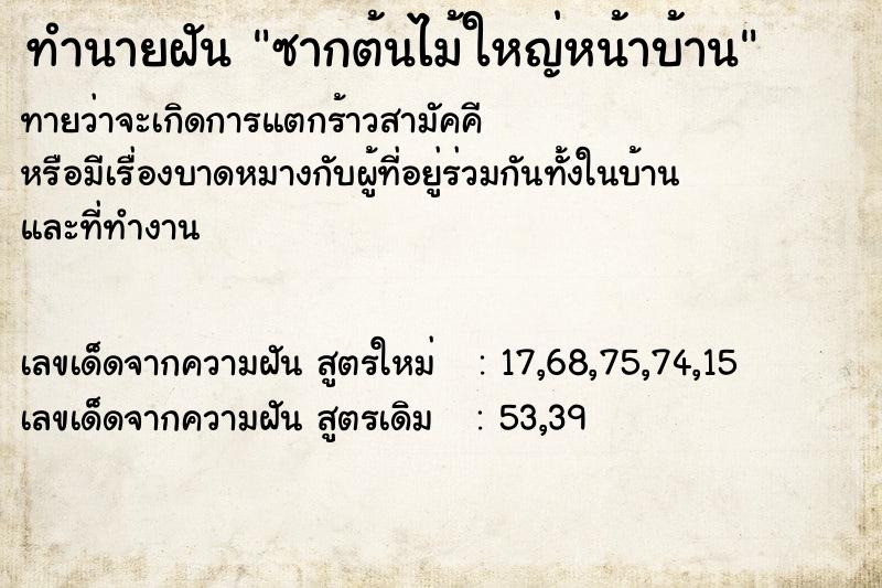 ทำนายฝันทำนายฝันซากต้นไม้ใหญ่หน้าบ้าน