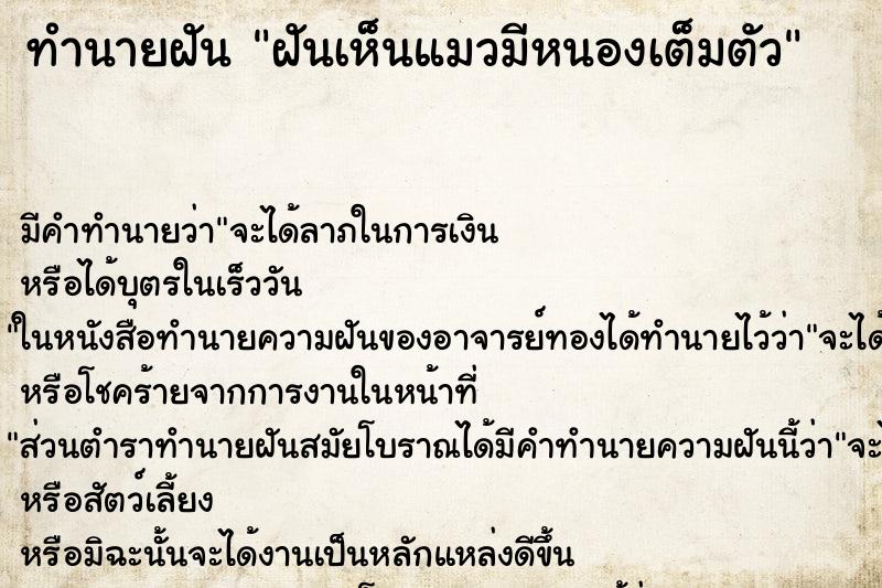 ทำนายฝัน ฝันเห็นแมวมีหนองเต็มตัว ตำราโบราณ แม่นที่สุดในโลก