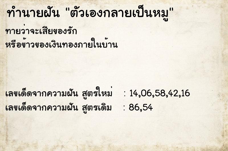 ทำนายฝัน ตัวเองกลายเป็นหมู