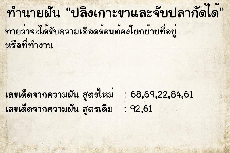 ทำนายฝันทำนายฝันปลิงเกาะขาและจับปลากัดได้