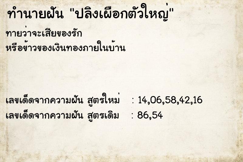 ทำนายฝันปลิงเผือกตัวใหญ่ ทำนายฝันทำนายฝันปลิงเผือกตัวใหญ่