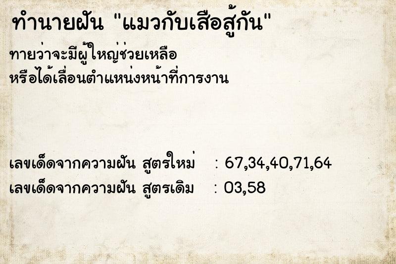ทำนายฝันแมวกับเสือสู้กัน ทำนายฝันทำนายฝันแมวกับเสือสู้กัน