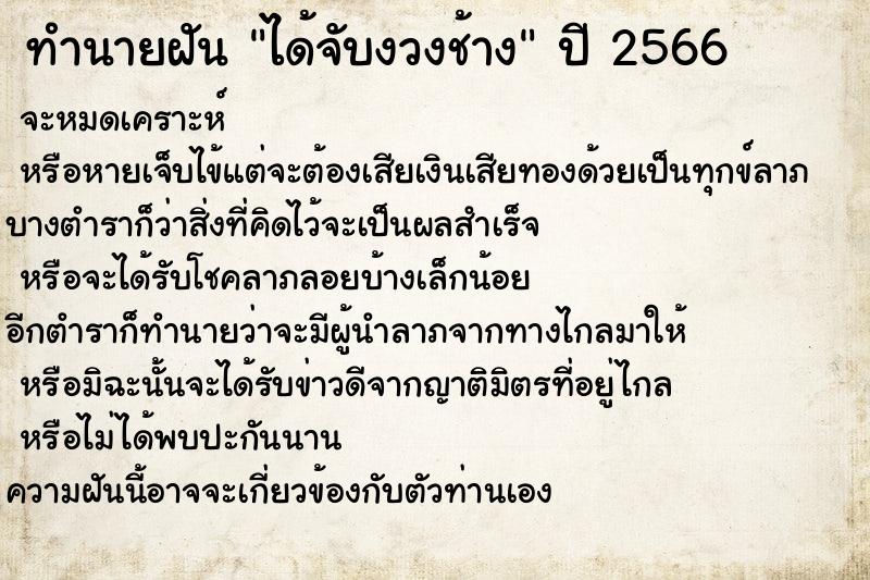 ทำนายฝัน ได้จับงวงช้าง ทำนายฝัน ได้จับงวงช้าง