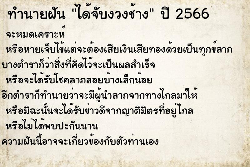 ทำนายฝัน ได้จับงวงช้าง ตำราโบราณ แม่นที่สุดในโลก