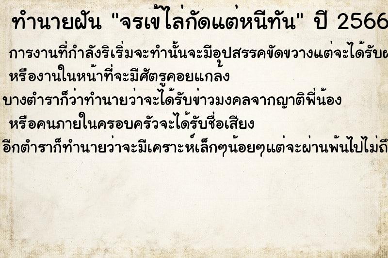 ทำนายฝันจรเข้ไล่กัดแต่หนีทัน ทำนายฝันทำนายฝันจรเข้ไล่กัดแต่หนีทัน