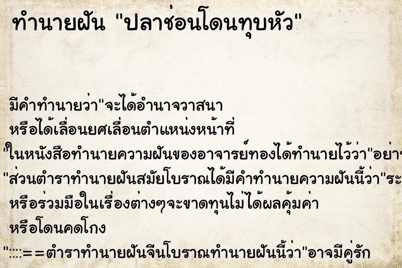 ทำนายฝันทำนายฝันปลาช่อนโดนทุบหัว