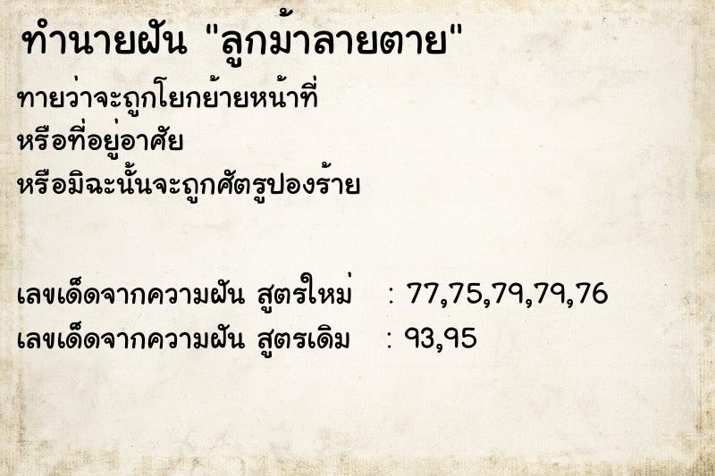 ทำนายฝันลูกม้าลายตาย ทำนายฝันทำนายฝันลูกม้าลายตาย