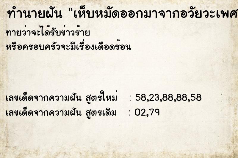 ทำนายฝัน เห็บหมัดออกมาจากอวัยวะเพศกระรอกตัวผู้