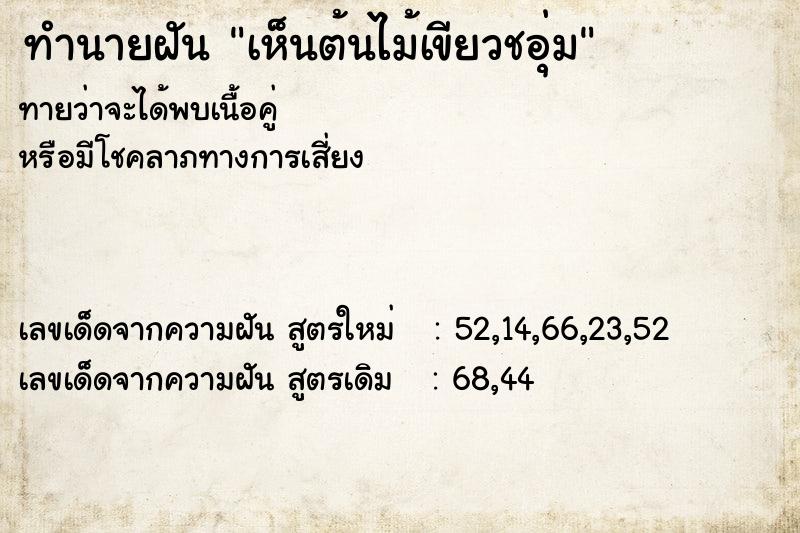ทำนายฝันเห็นต้นไม้เขียวชอุ่ม ทำนายฝันทำนายฝันเห็นต้นไม้เขียวชอุ่ม