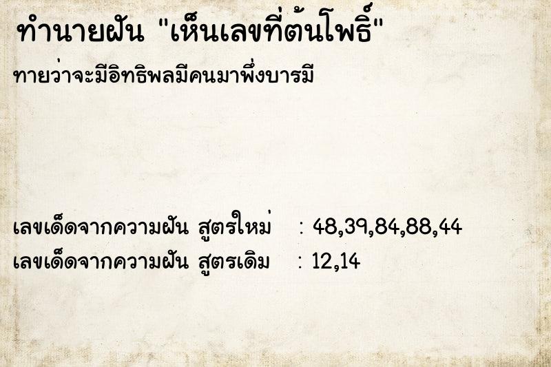 ทำนายฝันทำนายฝันเห็นเลขที่ต้นโพธิ์