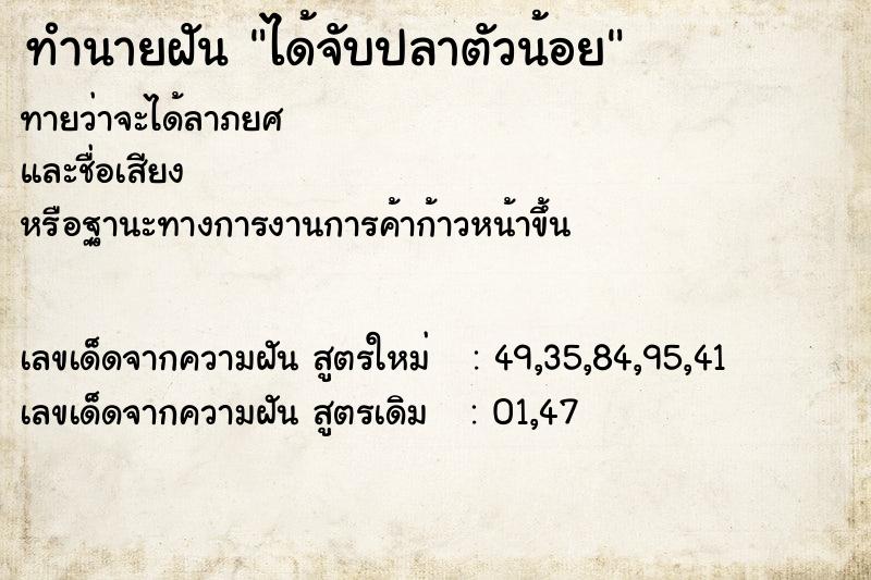 ทำนายฝันได้จับปลาตัวน้อย ทำนายฝันทำนายฝันได้จับปลาตัวน้อย
