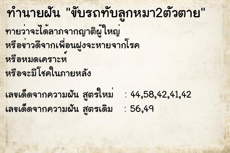 ทำนายฝัน ขับรถทับลูกหมา2ตัวตาย ตำราโบราณ แม่นที่สุดในโลก