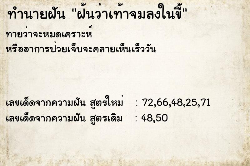 ทำนายฝันทำนายฝันฝ้นว่าเท้าจมลงในขี้
