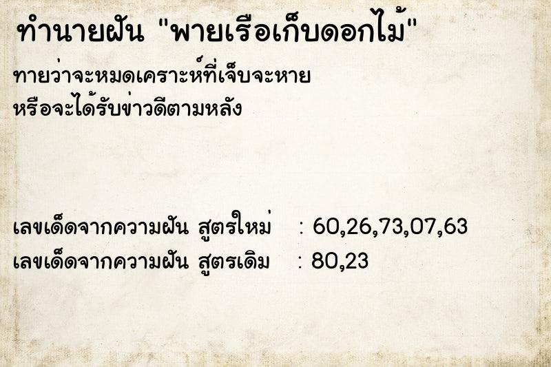 ทำนายฝันพายเรือเก็บดอกไม้ ทำนายฝันทำนายฝันพายเรือเก็บดอกไม้