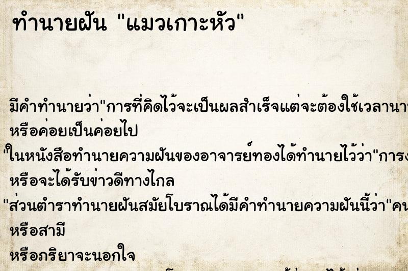 ทำนายฝัน แมวเกาะหัว ทำนายฝัน แมวเกาะหัว