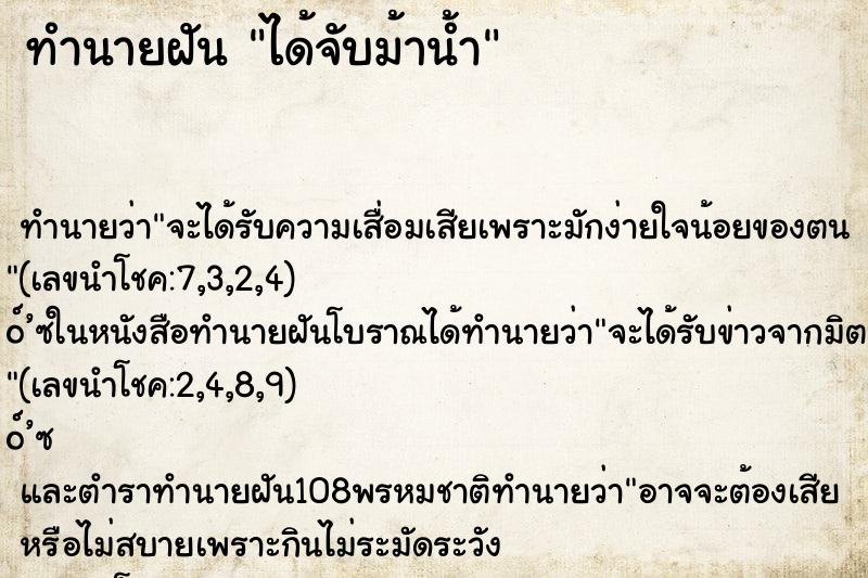ทำนายฝันได้จับม้าน้ำ ทำนายฝันทำนายฝันได้จับม้าน้ำ