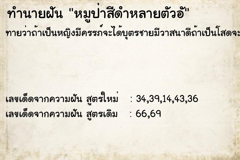 ทำนายฝันทำนายฝันหมูป่าสีดำหลายตัวอั
