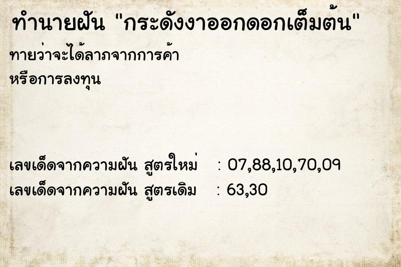 ทำนายฝันกระดังงาออกดอกเต็มต้น ทำนายฝันทำนายฝันกระดังงาออกดอกเต็มต้น
