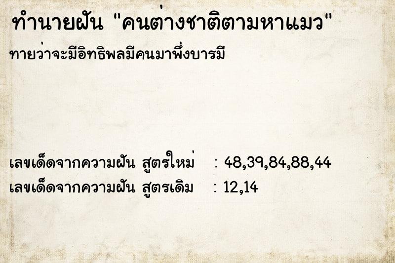 ทำนายฝันคนต่างชาติตามหาแมว ทำนายฝันทำนายฝันคนต่างชาติตามหาแมว