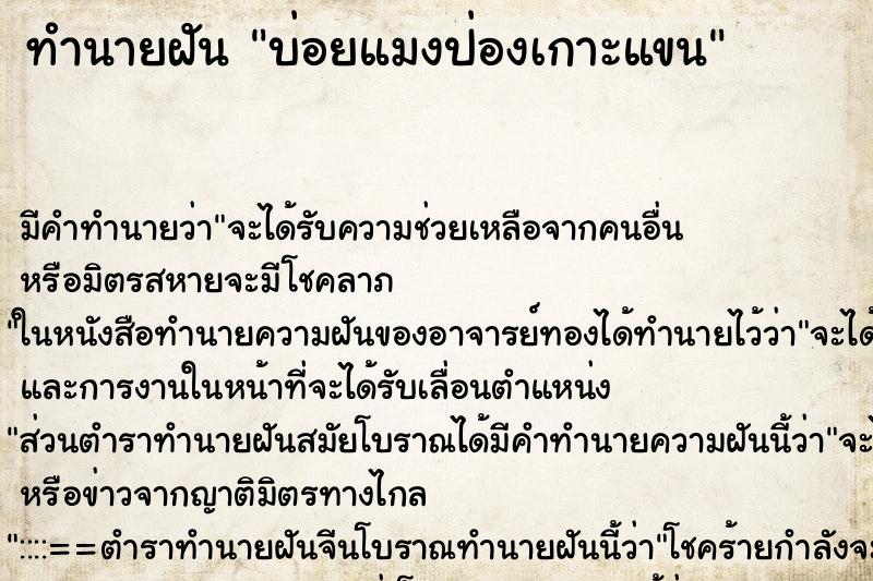 ทำนายฝันบ่อยแมงป่องเกาะแขน ทำนายฝันทำนายฝันบ่อยแมงป่องเกาะแขน