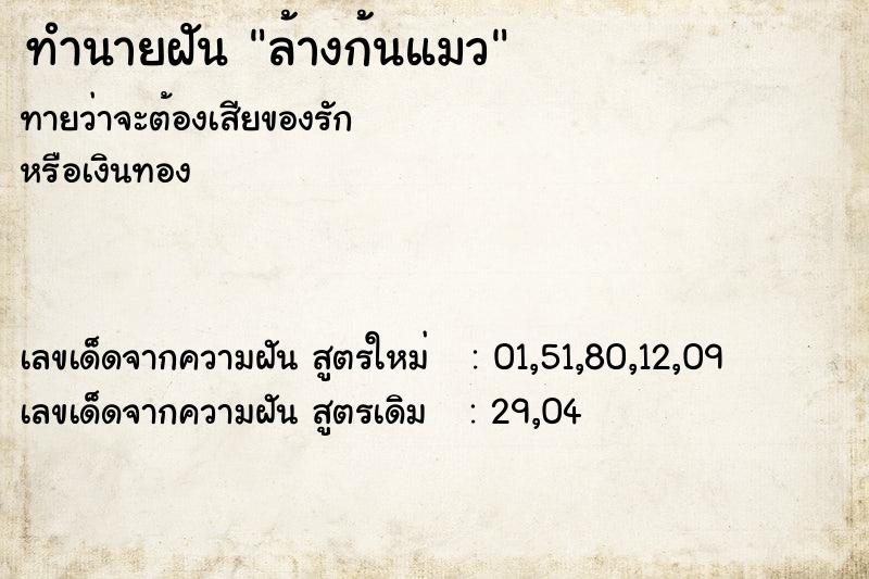 ทำนายฝันล้างก้นแมว ทำนายฝันทำนายฝันล้างก้นแมว