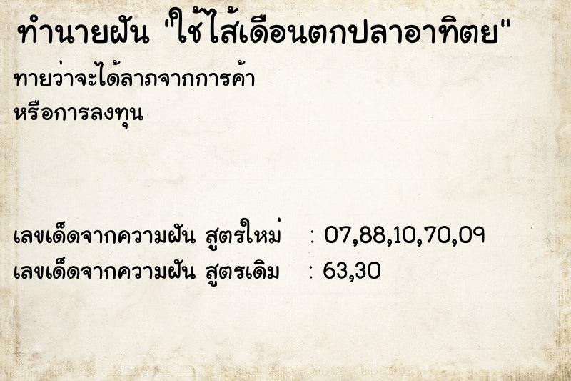 ทำนายฝันทำนายฝันใช้ไส้เดือนตกปลาอาทิตย