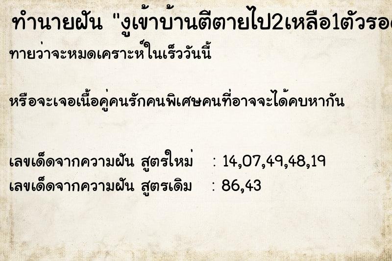 ทำนายฝันทำนายฝันงูเข้าบ้านตีตายไป2เหลือ1ตัวรอด