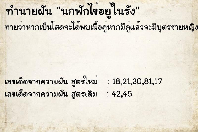 ทำนายฝันนกฟักไข่อยู่ในรัง ทำนายฝันทำนายฝันนกฟักไข่อยู่ในรัง