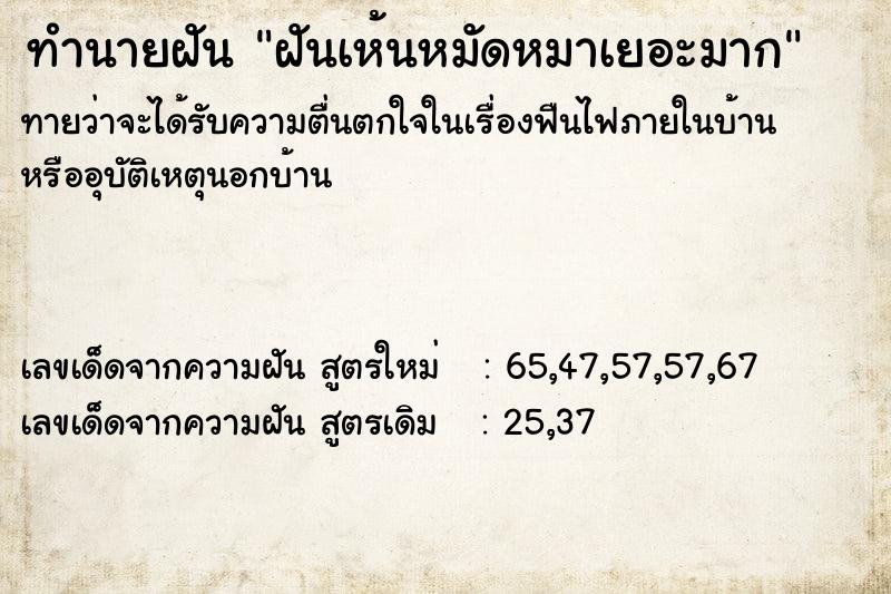ทำนายฝันฝันเห้นหมัดหมาเยอะมาก ทำนายฝันทำนายฝันฝันเห้นหมัดหมาเยอะมาก