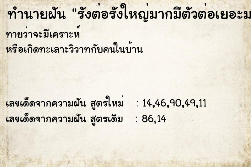 ทำนายฝันรังต่อรังใหญ่มากมีตัวต่อเยอะมาก ทำนายฝันทำนายฝันรังต่อรังใหญ่มากมีตัวต่อเยอะมาก