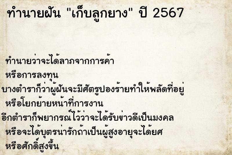 ทำนายฝันเก็บลูกยาง ทำนายฝันทำนายฝันเก็บลูกยาง