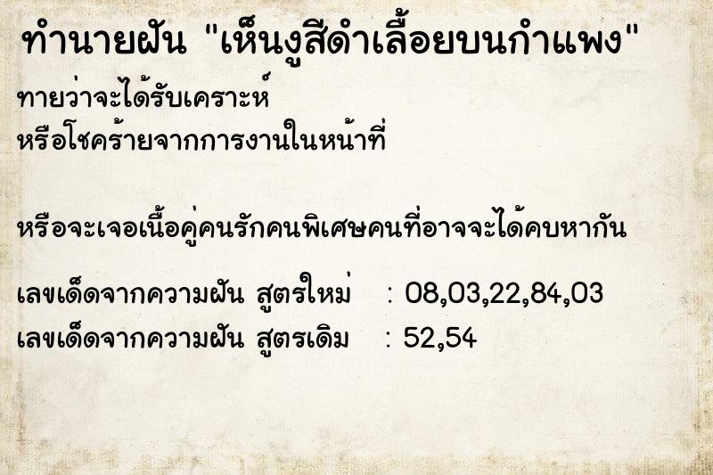 ทำนายฝันเห็นงูสีดำเลื้อยบนกำแพง ทำนายฝันทำนายฝันเห็นงูสีดำเลื้อยบนกำแพง