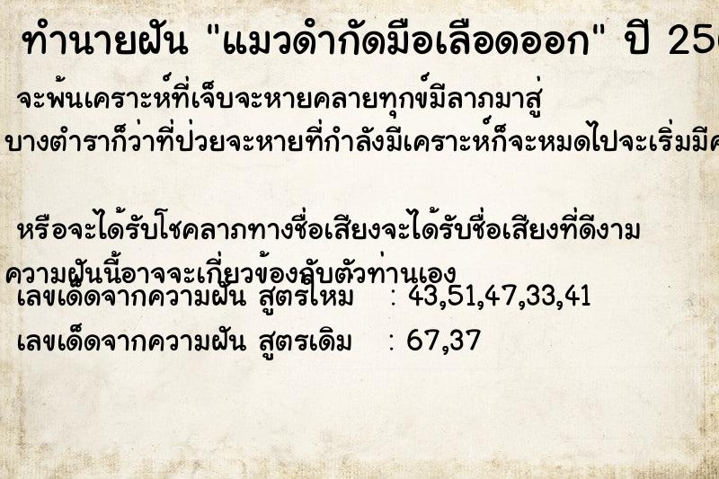 ทำนายฝันแมวดํากัดมือเลือดออก ทำนายฝันทำนายฝันแมวดํากัดมือเลือดออก