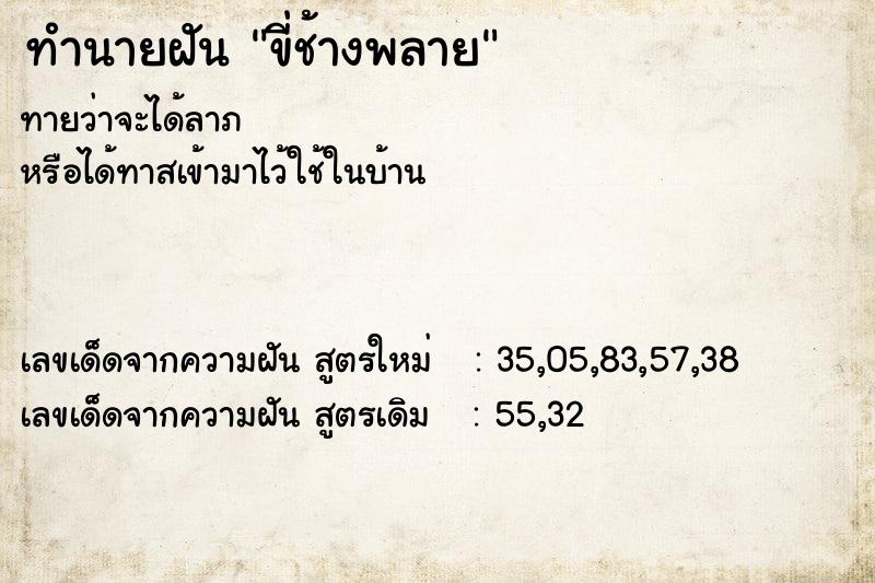 ทำนายฝันทำนายฝันขี่ช้างพลาย