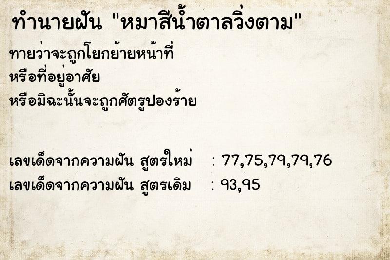 ทำนายฝันทำนายฝันหมาสีน้ำตาลวิ่งตาม