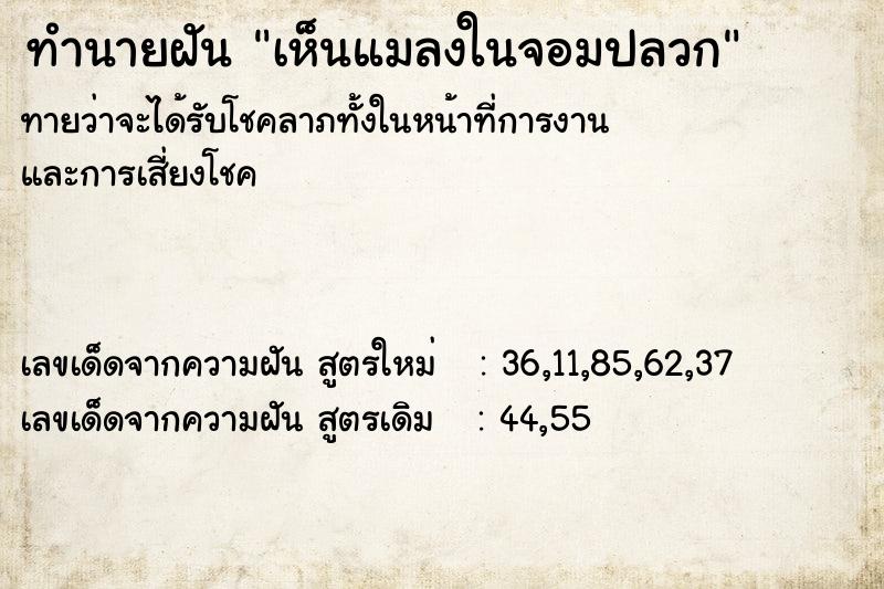 ทำนายฝันทำนายฝันเห็นแมลงในจอมปลวก