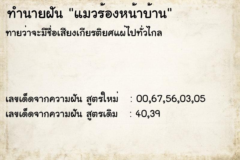 ทำนายฝันแมวร้องหน้าบ้าน ทำนายฝันทำนายฝันแมวร้องหน้าบ้าน