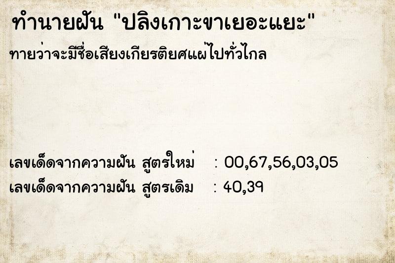 ทำนายฝันปลิงเกาะขาเยอะแยะ ทำนายฝันทำนายฝันปลิงเกาะขาเยอะแยะ