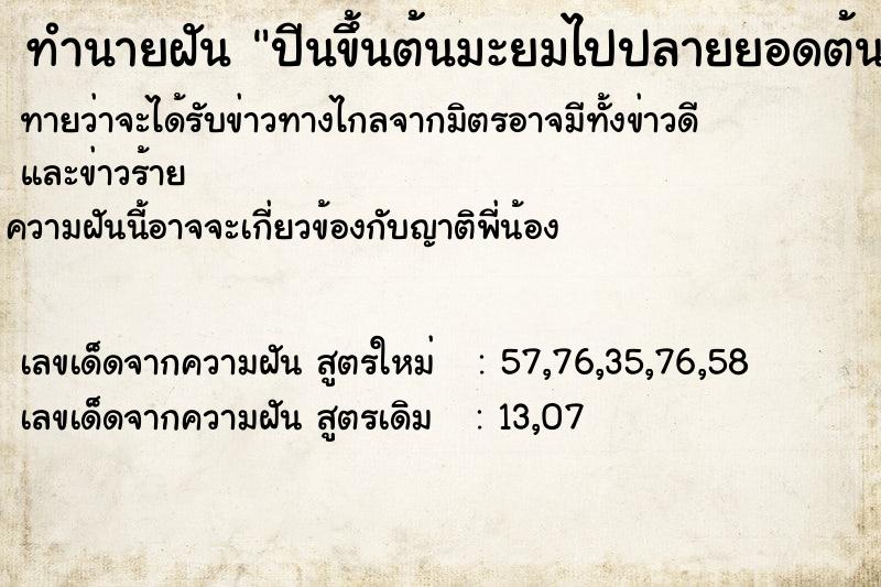 ทำนายฝัน ปีนขึ้นต้นมะยมไปปลายยอดต้นมะยม ทำนายฝัน ปีนขึ้นต้นมะยมไปปลายยอดต้นมะยม