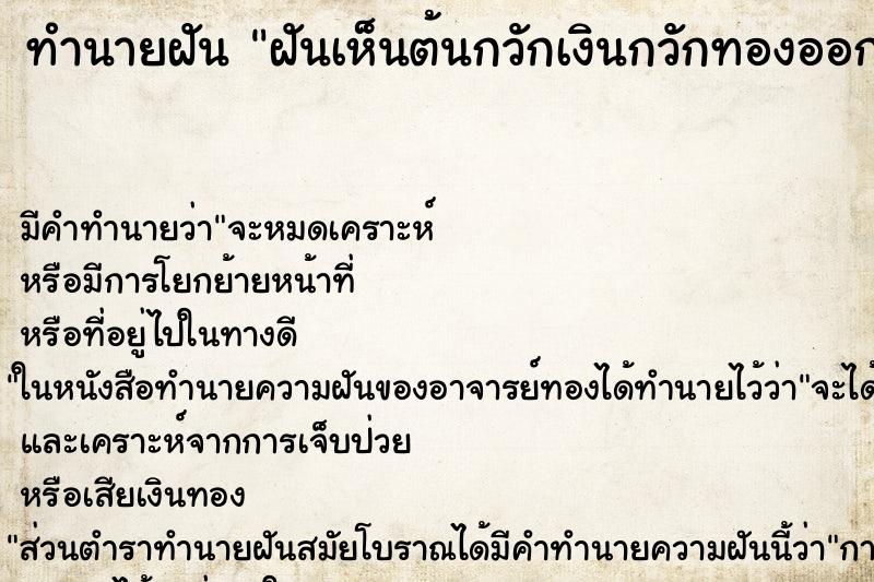 ทำนายฝันฝันเห็นต้นกวักเงินกวักทองออกดอกสวย ทำนายฝันทำนายฝันฝันเห็นต้นกวักเงินกวักทองออกดอกสวย
