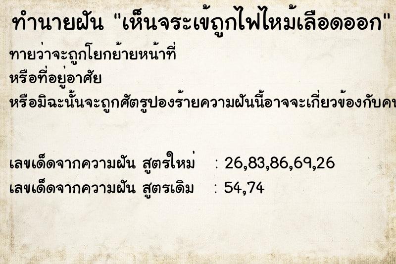 ทำนายฝันทำนายฝันเห็นจระเข้ถูกไฟไหม้เลือดออก