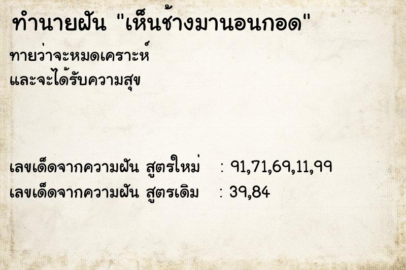 ทำนายฝันเห็นช้างมานอนกอด ทำนายฝันทำนายฝันเห็นช้างมานอนกอด