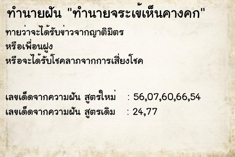 ทำนายฝันทำนายจระเข้เห็นคางคก ทำนายฝันทำนายฝันทำนายจระเข้เห็นคางคก