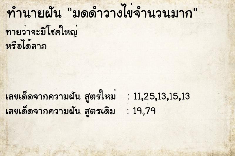 ทำนายฝันมดดำวางไข่จำนวนมาก ทำนายฝันทำนายฝันมดดำวางไข่จำนวนมาก