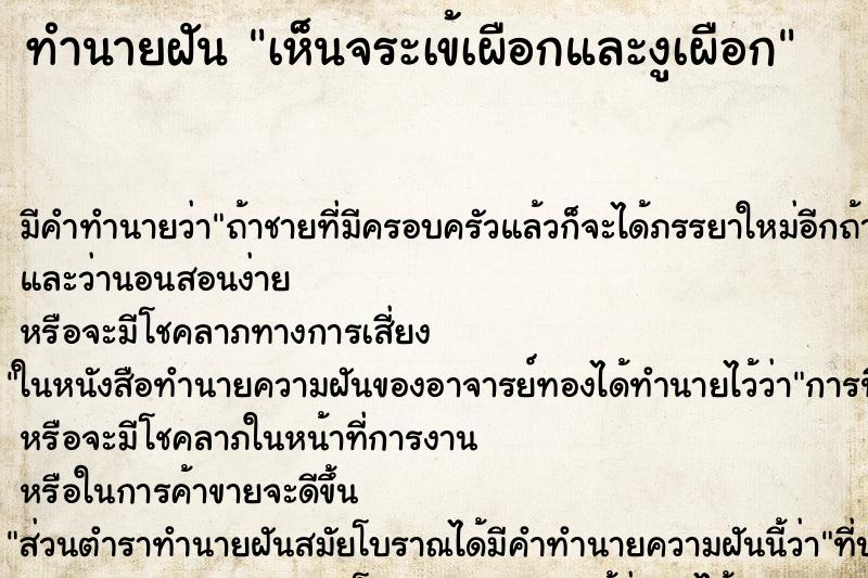 ทำนายฝัน เห็นจระเข้เผือกและงูเผือก ตำราโบราณ แม่นที่สุดในโลก