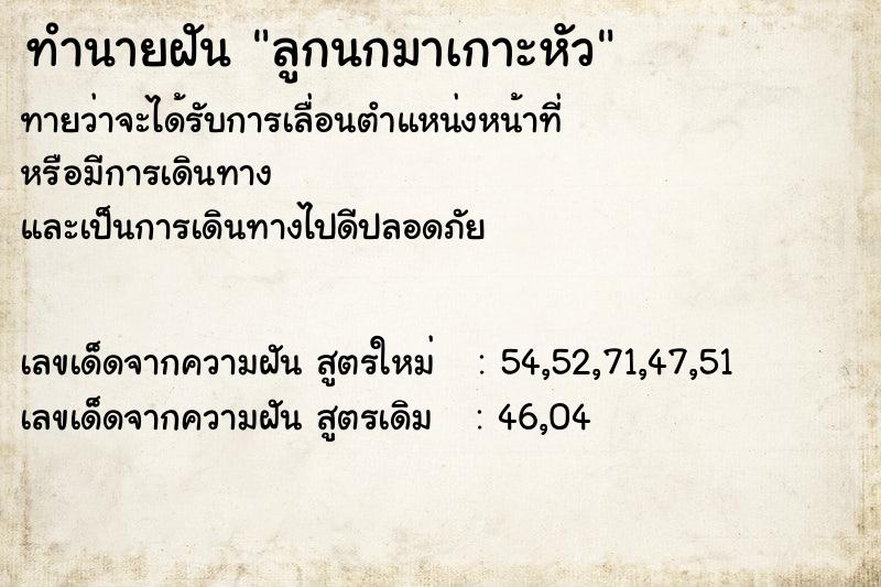ทำนายฝันลูกนกมาเกาะหัว ทำนายฝันทำนายฝันลูกนกมาเกาะหัว