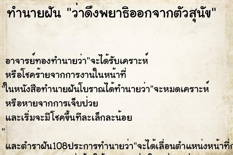 ทำนายฝันว่าดึงพยาธิออกจากตัวสุนัข ทำนายฝันทำนายฝันว่าดึงพยาธิออกจากตัวสุนัข
