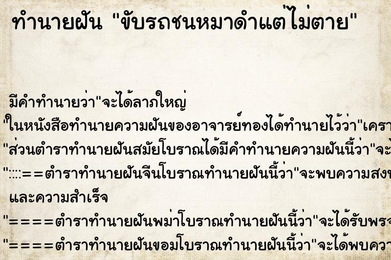 ทำนายฝัน ขับรถชนหมาดำแต่ไม่ตาย ทำนายฝัน ขับรถชนหมาดำแต่ไม่ตาย