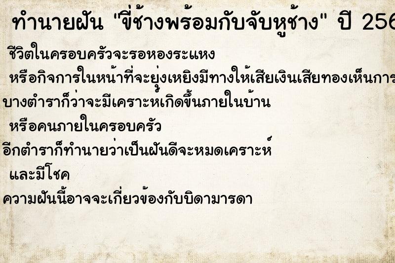 ทำนายฝัน ขี่ช้างพร้อมกับจับหูช้าง